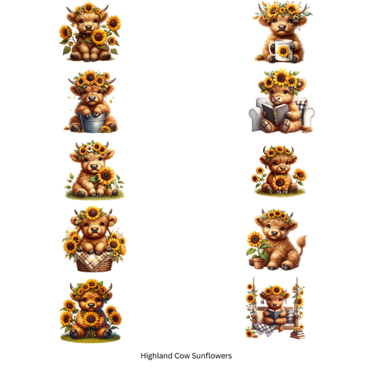 Happy Sunflower Highland Cows Gang Sheet Ready Press Heat Transfers 11'